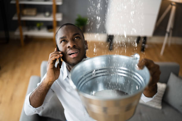 Best Fire Damage Restoration  in Cimarron Hills, CO
