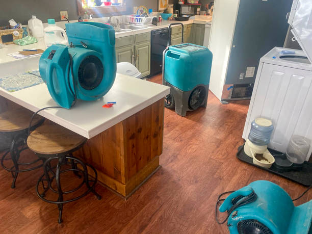 Best 24-hour water damage restoration  in Cimarron Hills, CO