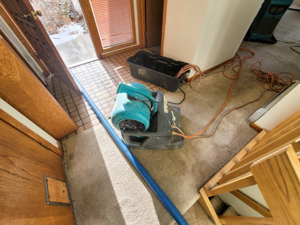 Best Emergency water extraction  in Cimarron Hills, CO