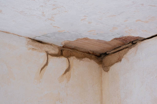 Best Basement water damage restoration  in Cimarron Hills, CO
