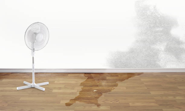 Best Water damage cleanup near me  in Cimarron Hills, CO
