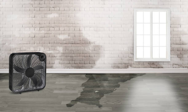 Best Fire Damage Restoration  in Cimarron Hills, CO