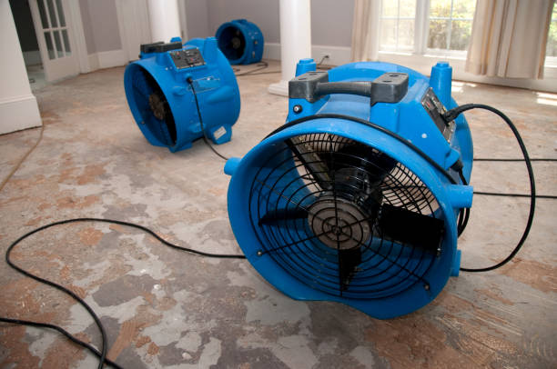 Best Flooded house restoration  in Cimarron Hills, CO
