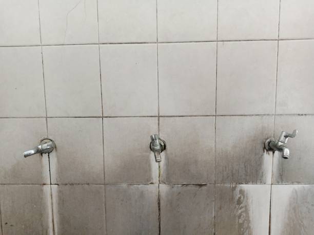 Best Emergency water damage restoration  in Cimarron Hills, CO