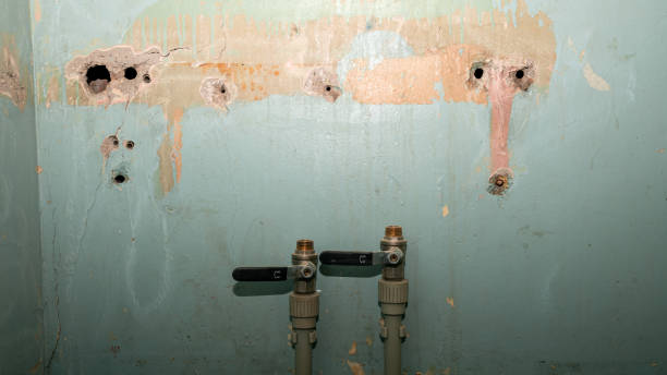 Carpet water damage restoration in Cimarron Hills, CO