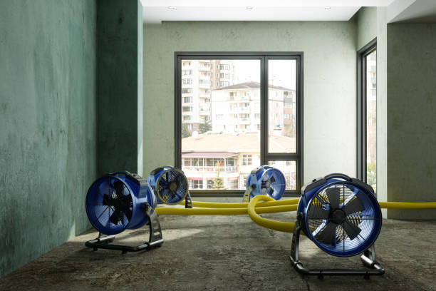 Best Sewage cleanup and water damage restoration  in Cimarron Hills, CO